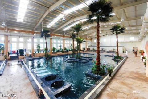 临沂观唐温泉度假村旅游攻略 之 活力SPA