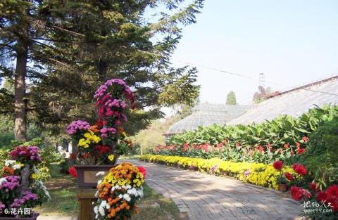 鞍山玉佛山风景区旅游攻略 之 花卉园