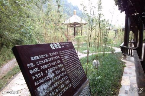 平昌驷马水乡旅游区旅游攻略 之 竹子植物园 平昌驷马水乡旅游区旅游攻略 之 竹子植物园