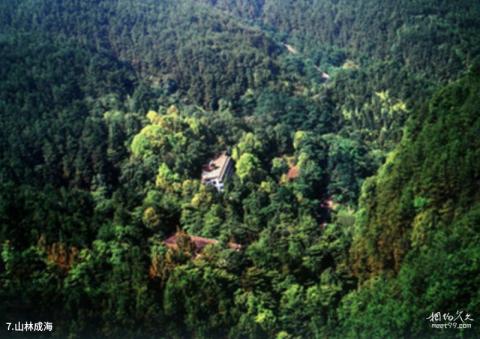 弥渡东山森林公园旅游攻略 之 山林成海