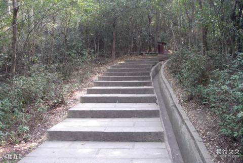 深圳莲花山公园旅游攻略 之 登山道