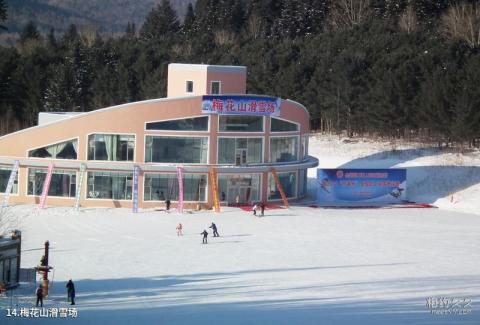 伊春梅花河山庄度假村旅游攻略 之 梅花山滑雪场 伊春梅花河山庄度假村旅游攻略 之 梅花山滑雪场