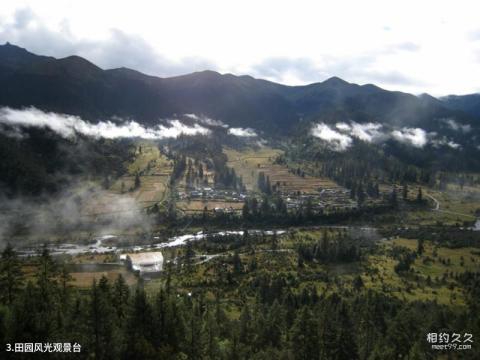 林芝鲁朗林海风景区旅游攻略 之 田园风光观景台 林芝鲁朗林海风景区旅游攻略 之 田园风光观景台