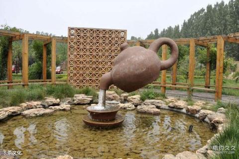 沂水蒙山龙雾茶博园旅游攻略 之 茶文化