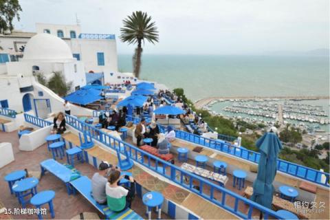 埃及红海旅游攻略 埃及红海旅游攻略