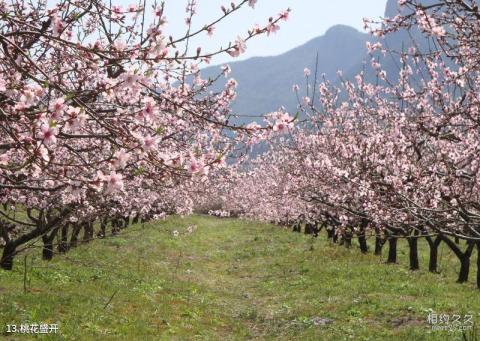 仙居官坑风景区旅游攻略 之 桃花盛开 仙居官坑风景区旅游攻略 之 桃花盛开