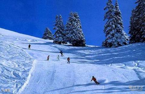 长春莲花山滑雪场旅游攻略 之 滑雪
