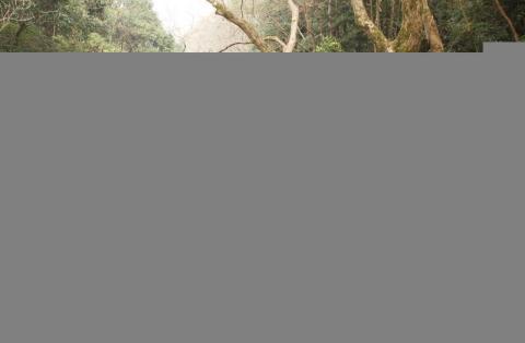 寨寮溪风景名胜区旅游攻略 之 玉女谷