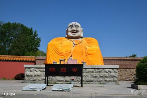 阜新瑞应寺风景区旅游攻略 之 弥勒佛