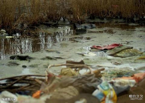 荣成天鹅湖生态旅游区旅游攻略 之 湖面污染 荣成天鹅湖生态旅游区旅游攻略 之 湖面污染