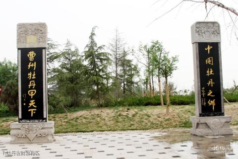 菏泽曹州牡丹园旅游攻略 之 牡丹古韵游览区