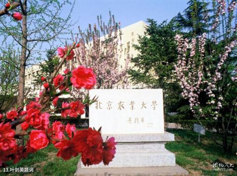 中国农业大学校园风光 之 叶剑英题词