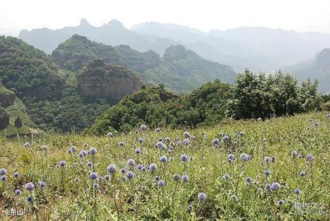 邯郸武安朝阳沟旅游攻略 之 东山