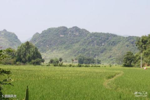 广东圣迹苍岩景区旅游攻略 之 田园风光