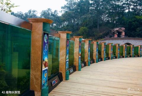 中科院华南植物园旅游攻略 之 植物水族馆 中科院华南植物园旅游攻略 之 植物水族馆