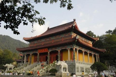 九华山风景名胜区旅游攻略 之 旃檀林 九华山风景名胜区旅游攻略 之 旃檀林