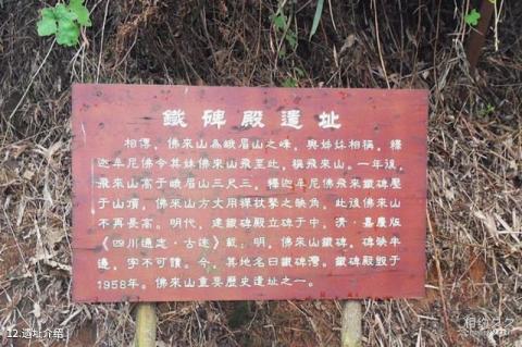 宜宾长宁佛来山旅游攻略 之 遗址介绍