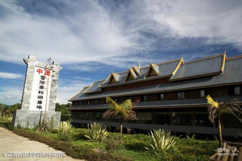云南西双版纳云茶庄园旅游攻略 之 云南农业科学院茶叶研究所 云南西双版纳云茶庄园旅游攻略 之 云南农业科学院茶叶研究所