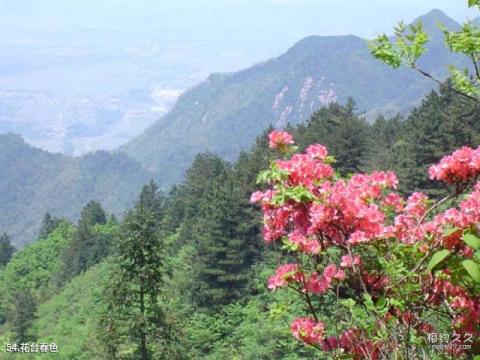 九华山风景名胜区旅游攻略 之 花台春色