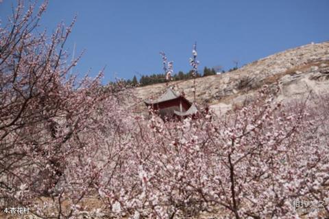 水泊梁山旅游区旅游攻略 之 杏花村 水泊梁山旅游区旅游攻略 之 杏花村