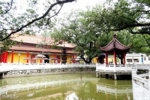 镇江圌山风景区旅游攻略 之 放生池