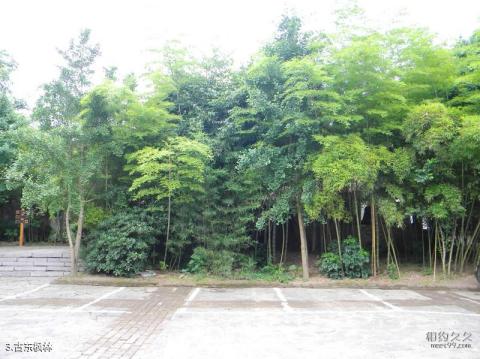 桂林古东瀑布旅游攻略 之 古东枫林 桂林古东瀑布旅游攻略 之 古东枫林