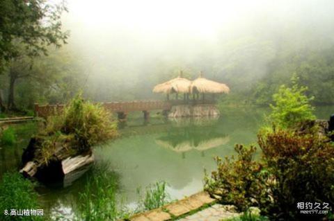 台湾阿里山景区旅游攻略 之 高山植物园 台湾阿里山景区旅游攻略 之 高山植物园