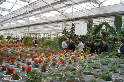 黑龙江农业经济职业学院芍菊古苑景区旅游攻略 之 智能温室 黑龙江农业经济职业学院芍菊古苑景区旅游攻略 之 智能温室