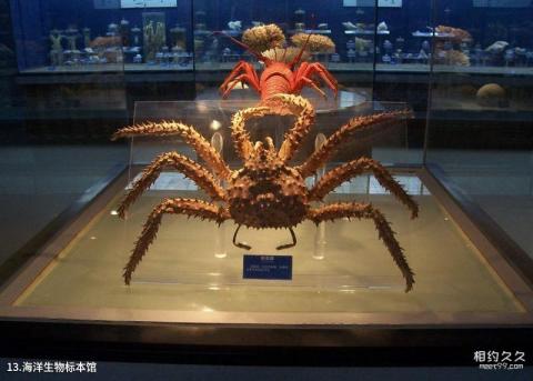 青岛海底世界旅游攻略 之 海洋生物标本馆 青岛海底世界旅游攻略 之 海洋生物标本馆