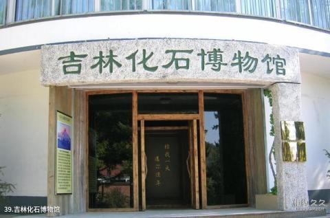 吉林朱雀山国家森林公园旅游攻略 之 吉林化石博物馆