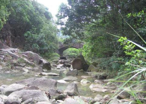 益阳北峰山森林公园旅游攻略 之 原生态风景