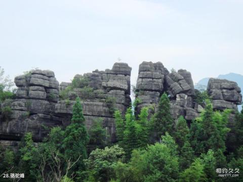 恩施梭布垭石林旅游攻略 之 骆驼峰