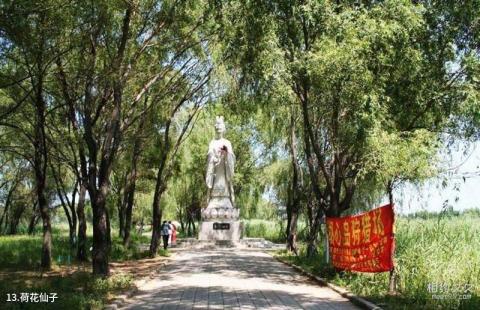 沈阳仙子湖风景度假区旅游攻略 之 荷花仙子