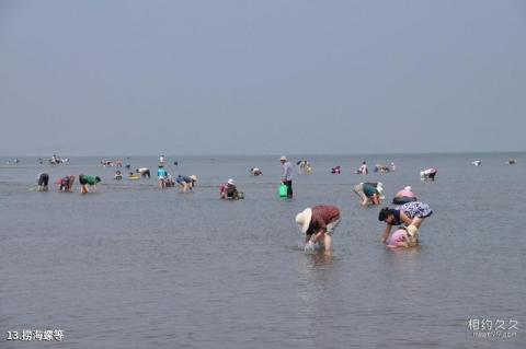 大连海昌东方水城旅游攻略 大连海昌东方水城旅游攻略
