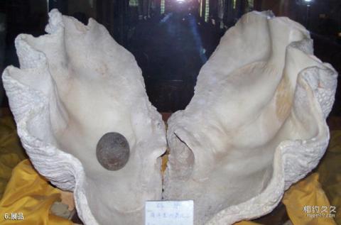 银川金水园旅游攻略 之 展品