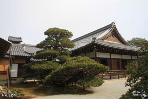 日本金阁寺旅游攻略 之 陆舟之松