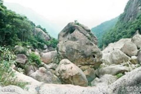 福建莆田九龙谷旅游攻略 之 独具慧眼