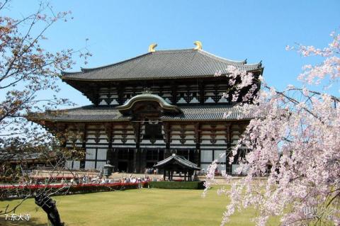 日本奈良旅游攻略 之 东大寺