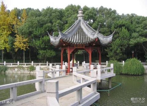 上海古猗园旅游攻略 之 湖心亭