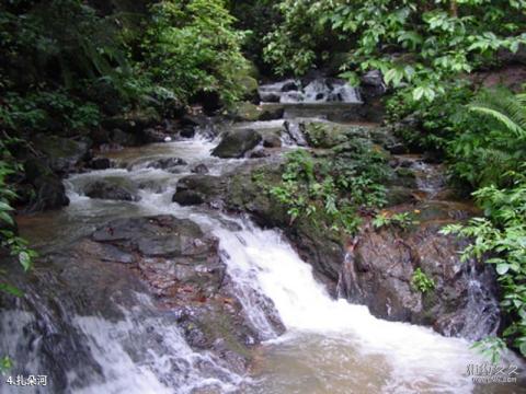 瑞丽莫里热带雨林风景区旅游攻略 之 扎朵河 瑞丽莫里热带雨林风景区旅游攻略 之 扎朵河
