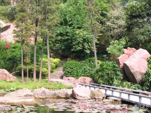 九龙山国家森林公园旅游攻略 之 幽林 九龙山国家森林公园旅游攻略 之 幽林