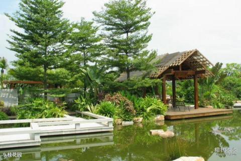 广州珠江公园旅游攻略 之 桂花园 广州珠江公园旅游攻略 之 桂花园