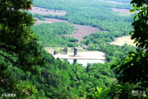 黑龙江桃山桃源湖旅游区旅游攻略 之 石塔青松 黑龙江桃山桃源湖旅游区旅游攻略 之 石塔青松