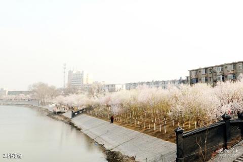 天津桃花园堤旅游攻略 之 桃花堤