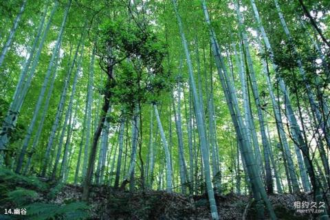 宜宾长宁佛来山旅游攻略 之 幽谷