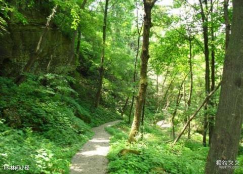 十堰伏龙山风景区（赛武当）旅游攻略 之 林间小径