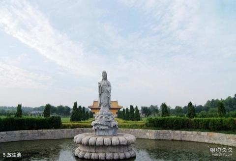 亿城寺孙膑文化旅游城旅游攻略 之 放生池