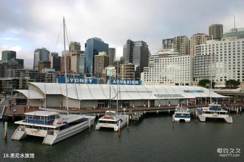 澳大利亚悉尼旅游攻略 之 悉尼水族馆