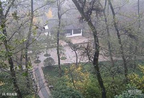 苏州园林虎丘旅游攻略 之 书台松影 苏州园林虎丘旅游攻略 之 书台松影