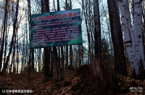 七台河西大圈森林公园旅游攻略 之 日本侵略者盗伐遗址